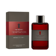 Antonio Banderas The Secret Temptation