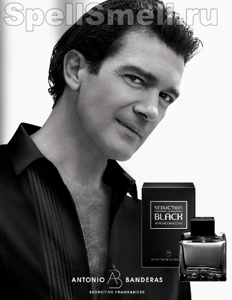 Antonio Banderas Seduction In Black — купить мужские духи, туалетную ...