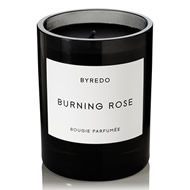 Burning Rose