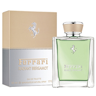 Radiant Bergamot