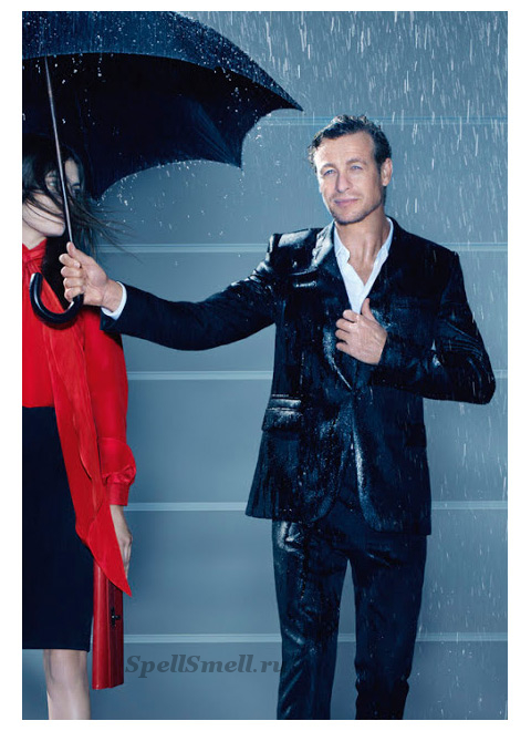 Givenchy Gentlemen Only — купить мужские духи, туалетную воду, парфюм ...