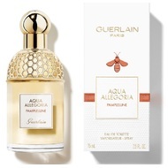 Aqua Allegoria Pamplelune