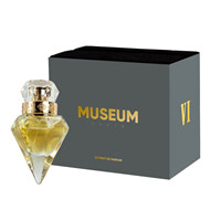 Museum VI