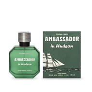 Ambassador In Hudson