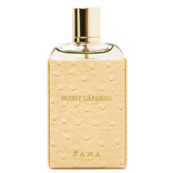 Zara Perfume In Lu7 Wing For 1000 For Sale Shpock