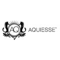 Aquiesse